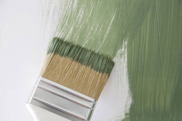 Best Mold Remediation for Healthcare Facilities  in San Pablo, NM