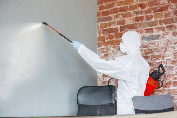 Dehumidification Services in San Pablo, NM