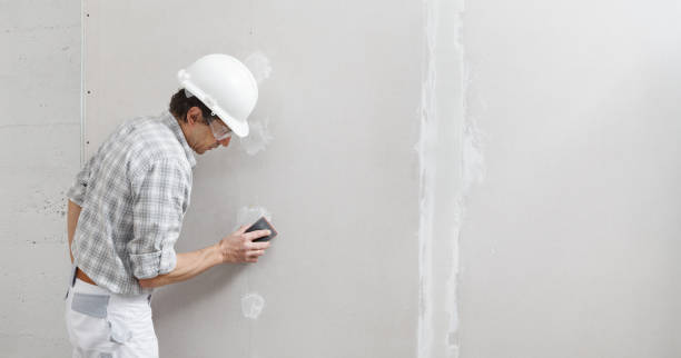 Best Post-Construction Mold Inspection  in San Pablo, NM