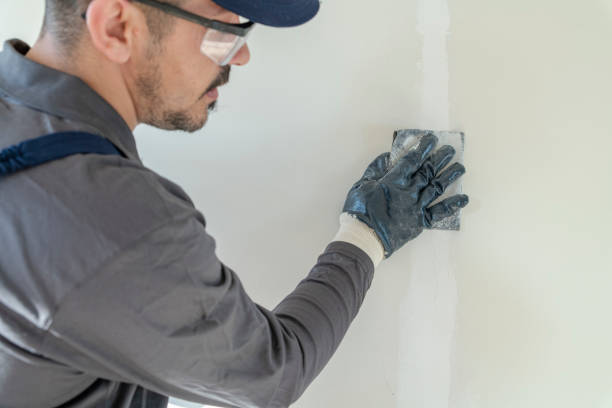 Best Emergency Mold Remediation  in San Pablo, NM