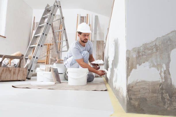 Best Environmental Consulting for Mold Prevention  in San Pablo, NM