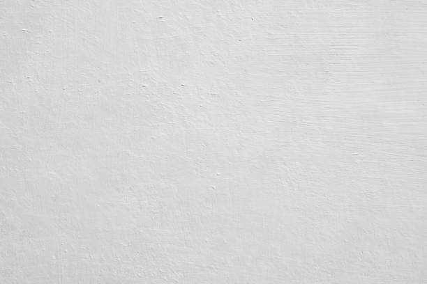 Professional Mold Removal in San Pablo, NM
