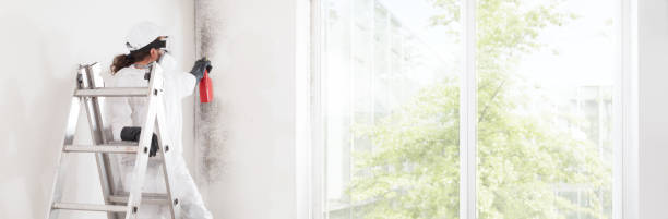 Best Real Estate Mold Inspection  in San Pablo, NM