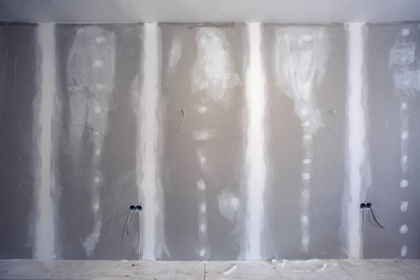 Best Water Damage & Mold Remediation  in San Pablo, NM